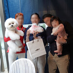 エビスエスクラッシコ - Just about the same size