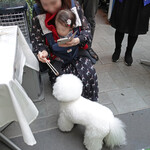 エビスエスクラッシコ - ちいちゃなお口で