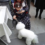 エビスエスクラッシコ - 上手にいただけました