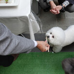 エビスエスクラッシコ - Yeah, it's my turn!!