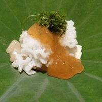 天満橋 藤かわ - 