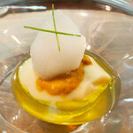 セルサルサーレ - 