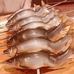 銀座 しのはら - 岐阜県 郡上八幡産の天然鮎