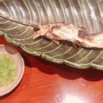 銀座 しのはら - 岐阜県 郡上八幡産の天然鮎