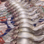 銀座 しのはら - 今度の鮎は琵琶湖産