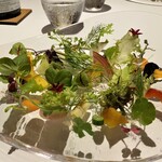 レフェルヴェソンス - アルチザン野菜 ＜敬愛する素晴らしきArtisan（職人）たち＞