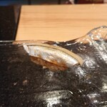 鮨処 こいづみ - 