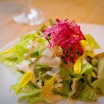 カステリーナ - チョップドサラダ