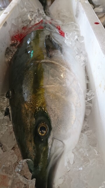 串物 海鮮焼 居酒屋 結 - 雫石（居酒屋）の写真