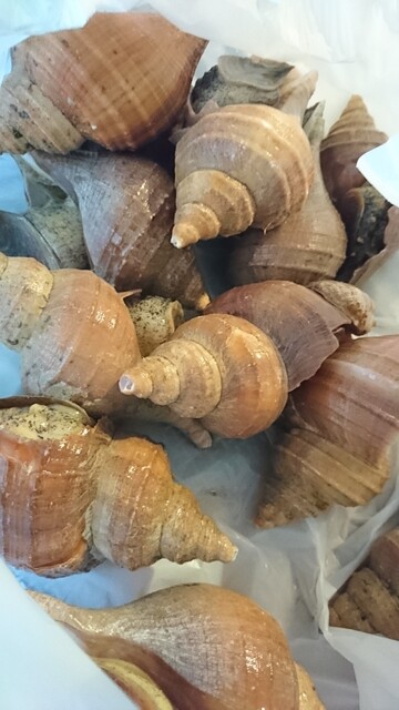 串物 海鮮焼 居酒屋 結 - 雫石（居酒屋）の写真