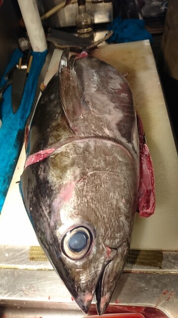 串物 海鮮焼 居酒屋 結 - 雫石（居酒屋）の写真