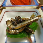 京懐石 吉泉 - 先付　（稚鮎の山椒煮）