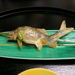 京懐石 吉泉 - 塩焼 鮎