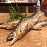 たでの葉 - 2020.6.  天然鮎の塩焼き