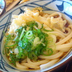 丸亀製麺 - 2012年3月 ぶっかけ（冷や）