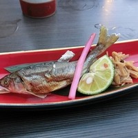 鍋と旬菜と京料理 花柳 - 先斗町コース/焼　物