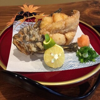 しまなみ直送 真鯛・海鮮料理専門店 鯛将_2