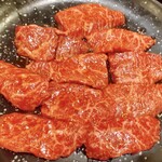 焼肉 スタミナ苑 - ヒレにしがみ付いてきたカイノミ
