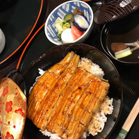 うなぎ秋本 -  うなぎ秋本 -