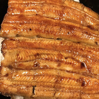 うなぎ秋本 -  うなぎ秋本 -
