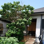 そば切り　遊玄 - 