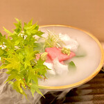 京懐石 吉泉 - 愛媛のトロ刺身