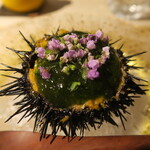 日本料理 みや  - ムラサキウニ