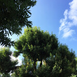 THI THI - 8.2 朝の空♪