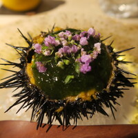 日本料理 みや  - ムラサキウニ