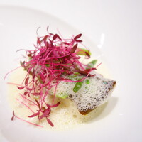 FURUYA　augastronome - アイナメのポワレ