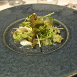 リストランテ カノフィーロ - イワシのマリナート　グレープフルーツと胡瓜