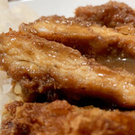 Agetate Tonkatsu Manten Kare - チキンアップ