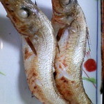 Izakaya Kappou Arupina - 焼き魚