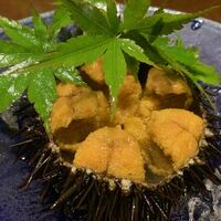 仙台藩 - 【七ヶ浜産活がぜうに】♫2020/6