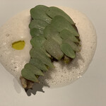 フロリレージュ - 