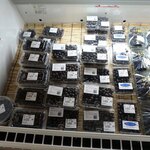 かやの郷 - ブルーベリー売場
