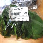かやの郷 - オカワカメ￥100