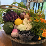 アグリスケープ - 