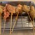 大衆串横丁 てっちゃん - 串カツ、各100円(税別)(左からキス、紅生姜、ハムカツ、豚巻き紅生姜、豚味噌海苔巻き、スモーク鶏ささみ)
