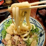 Marugame Seimen - 麺リフトアップ