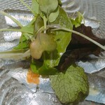 リストランテ ペガソ - 