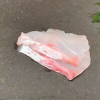 鮨 龍次郎 - 石川・輪島の本アラ