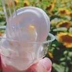 赤い屋根のソフトクリーム屋 - バニラソフト ミニサイズカップ(￥300)。
            ひまわりを眺めながら食べるアイスは美味しさが倍ですね！
