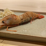 不動前 すし 岩澤 - 