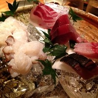 魚匠 銀平 心斎橋店 - 