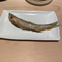 匠 すし昂 - 
