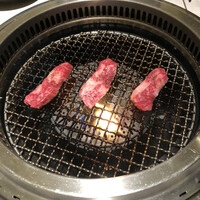 niku no OTO - 