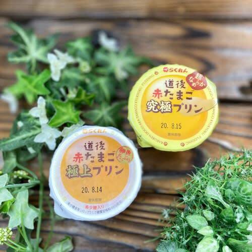 ２枚。Rchan.❤みかん❤極上ふわとろっ❤シングルお布団❤チェリー 2枚。Rchan.様専用❤みかん❤極上ふわとろっ❤シングルお布団