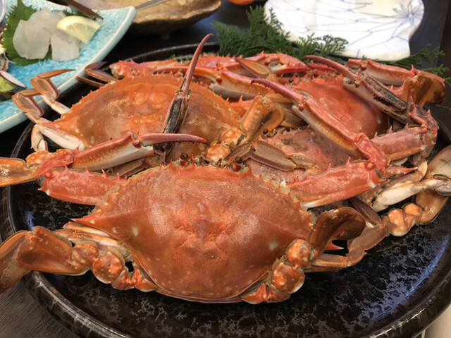 すず屋海游亭 南知多町その他 旅館 食べログ