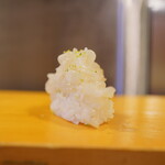 こい勢 - するめ烏賊